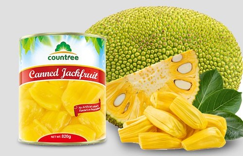菠蘿蜜罐頭