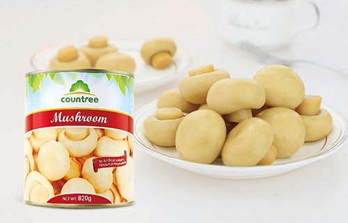 蘑菇罐頭
